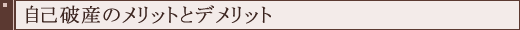 ���Ȕj�Y�̃����b�g�ƃf�����b�g
